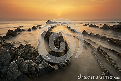 Golden barrika Stock Photo