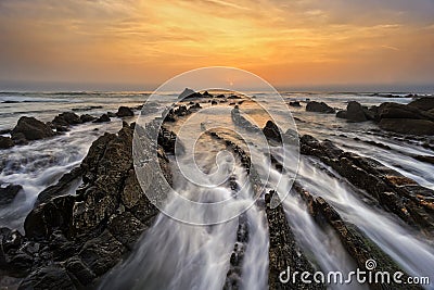 Golden barrika Stock Photo