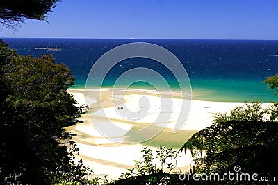 Golden beach Abel Tasman (3) Stock Photo