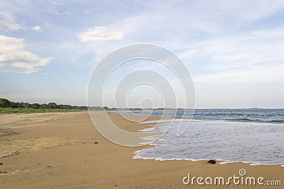 Golden Beach at Yala National Park Stock Photo