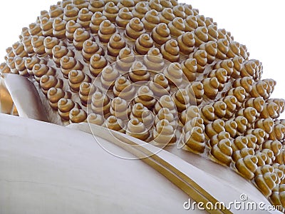 golden buddah& x27;s hair in thailand Stock Photo