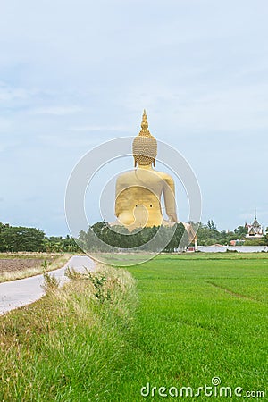 Large Buddha statue at Wat Muang in Angthong in back side rural landscape in Thailand. Stock Photo