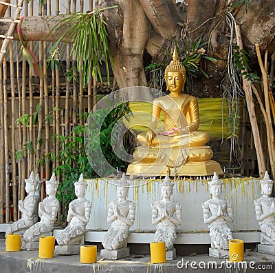 Golden Buddha under a Bodhi tree Stock Photo