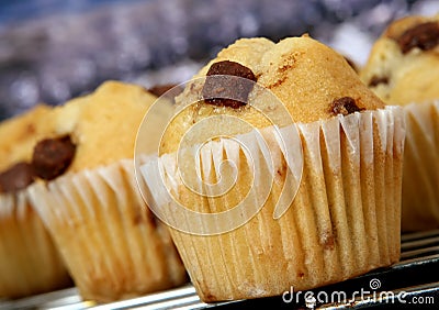 Golden chocolate chip muffins baked in the kitchen Stock Photo