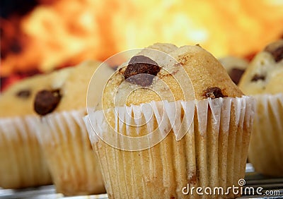 Golden chocolate chip muffins baked in the kitchen Stock Photo