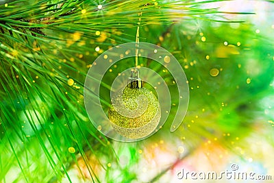 Golden Christmas ball hanging on natural green pine tree branch, confetti lights flare, glitter, bright, copy space, greeting card Stock Photo