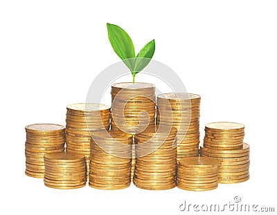 Golden coins and green plant isolated on white Stock Photo