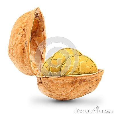 Golden coins in the nutshell. Stock Photo