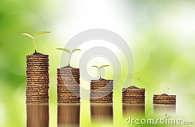 Golden coins in soil with young plants showing to financial investment crisis Stock Photo