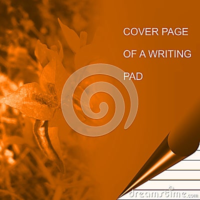 Golden color writing pad shaded with lighting effect computer generated background image and wallpaper design Stock Photo