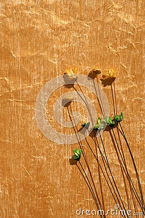 Golden colour painted paper and dried flowers Stock Photo