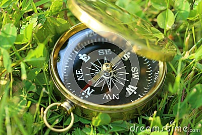 Golden compass on grass Stock Photo