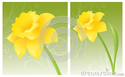 Golden Daffodil Vector Illustration