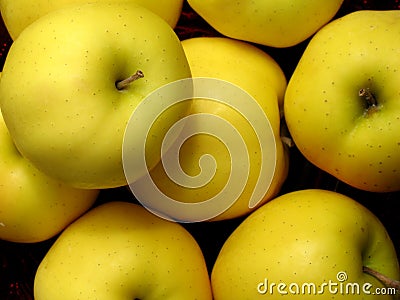 Golden Delicious Apples Stock Photo