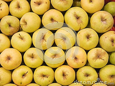 Golden Delicious Apples Stock Photo