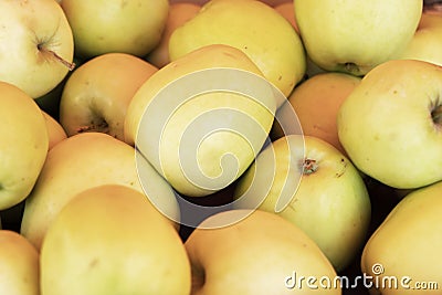 Golden delicious apples Stock Photo