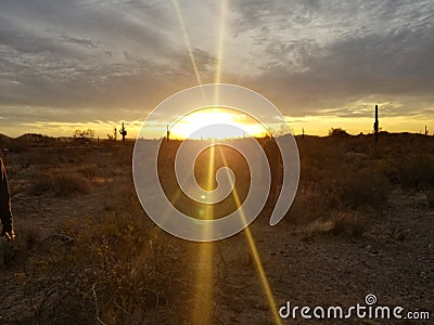 Golden Desert Sunrise Editorial Stock Photo