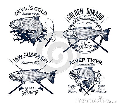 Golden Dorado Fishing Logo. Vector Illustration. Vector Illustration