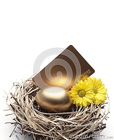 Golden Egg in the Nest Stock Photo
