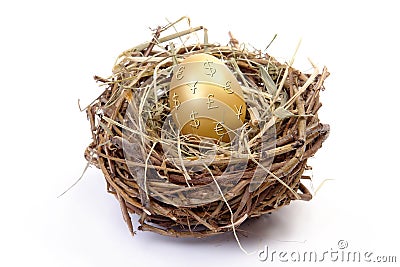 Golden egg in nest Stock Photo