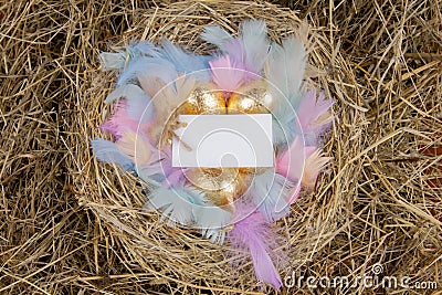 Golden eggs with colorful feathers in a nest with a note mock up, top view. Concept easter Stock Photo