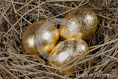 Golden eggs in a nest top view. Concept easter Stock Photo