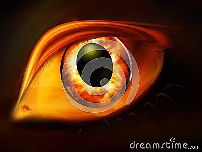 Golden eye Stock Photo