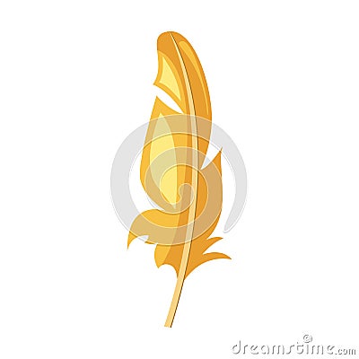 Golden feather Vector Illustration
