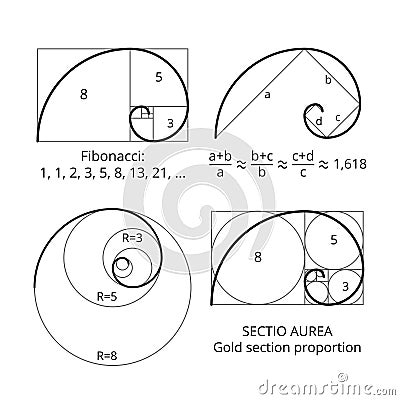 Golden fibonacci ratio spirals. Gold section proportion vector visualization Vector Illustration