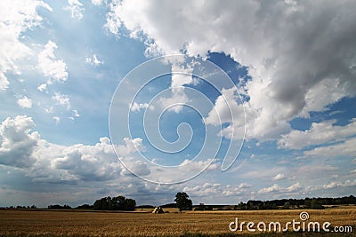 Golden fields and skyscape, sky before storm Stock Photo