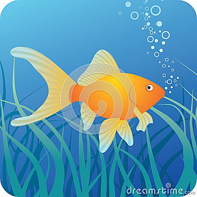 Golden fish under water Vector Illustration