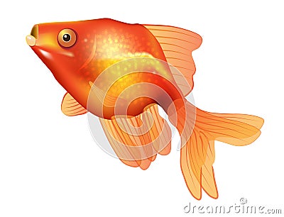 Golden Fish Vector Stock Photo