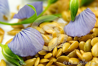 Golden flax seeds with blue flower petals Stock Photo