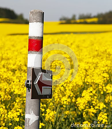 Golden flowering rapeseed field with tourist sign Stock Photo