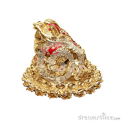 Golden frog from China Stock Photo