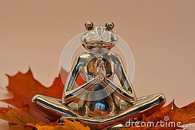 Yoga Frosch entspannt im Herbst Stock Photo