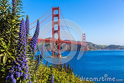 Golden Gate Bridge San Francisco purple flowers California Stock Photo