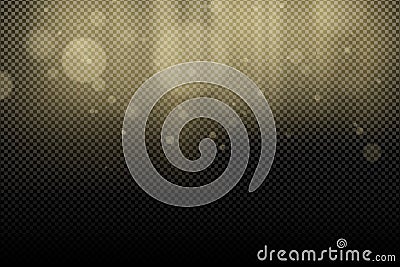 Golden glares bokeh and rays light on a transparent background. Abstract background for your design. Light effect for the photo. V Vector Illustration