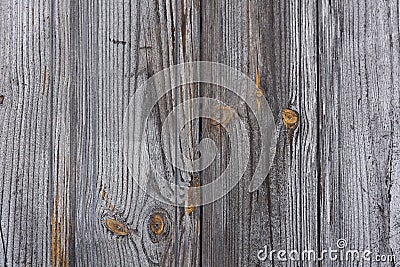 Golden gray wood texture Stock Photo