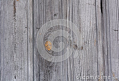 Golden Gray wood texture Stock Photo