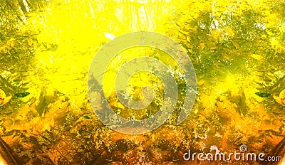 Golden grunge texture Stock Photo