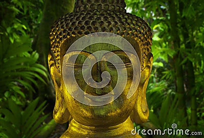 Golden head of Buddha Stock Photo