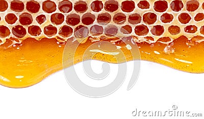 Honey and honey comb with wooden stick Stock Photo
