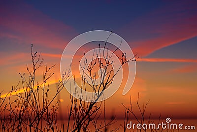 Golden Horizon: Baltic Sea Beach Basking in Sunset's Glow. Stock Photo