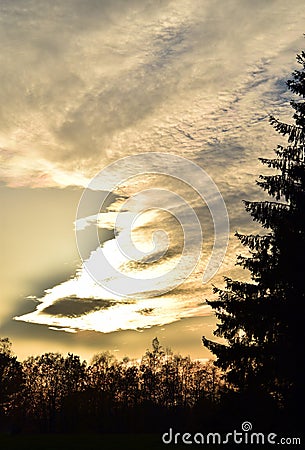 Golden horse from the clouds. Stock Photo