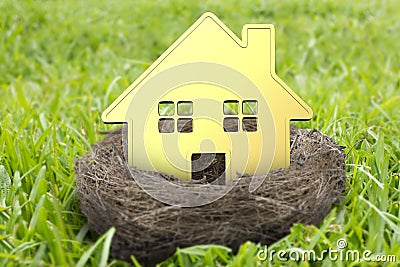 Golden house in nest Stock Photo