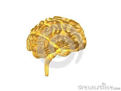 Golden Human skulGolden Human Brain Stock Photo