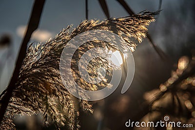 Golden lake view with lake sunset Stock Photo