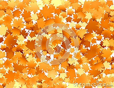 Golden leaves Stock Photo