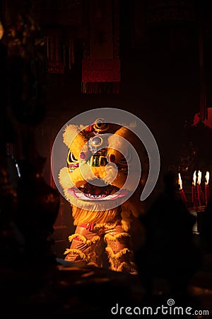 Golden lion, Two people dance the Chinese auspicious animals Stock Photo